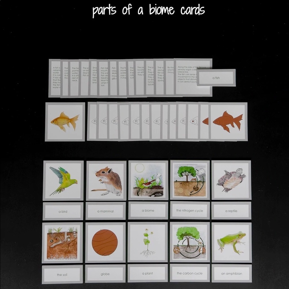 Waseca Introduction to Biomes Card Set and booklet.
